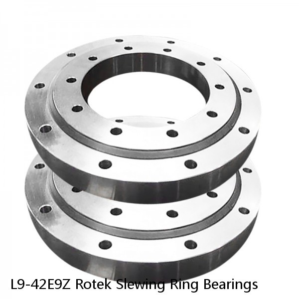 L9-42E9Z Rotek Slewing Ring Bearings