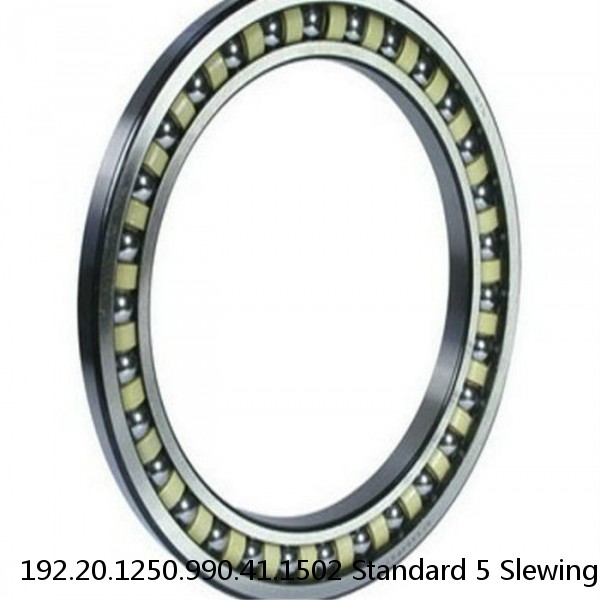 192.20.1250.990.41.1502 Standard 5 Slewing Ring Bearings