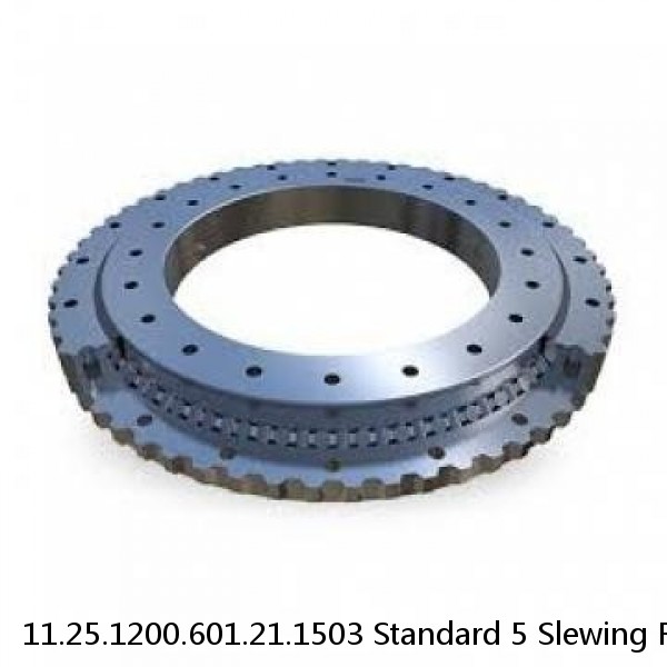 11.25.1200.601.21.1503 Standard 5 Slewing Ring Bearings