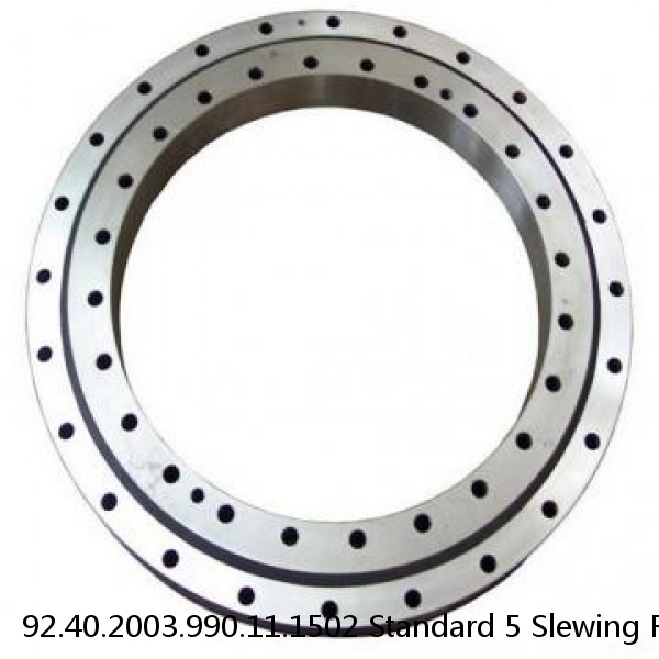 92.40.2003.990.11.1502 Standard 5 Slewing Ring Bearings