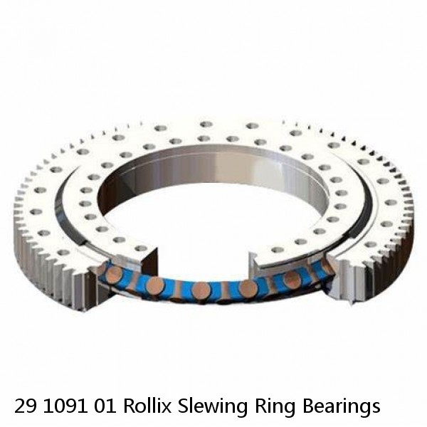 29 1091 01 Rollix Slewing Ring Bearings #1 small image