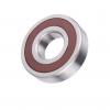 SKF High Quality Cylindical Roller Bearing (NJ2204EC)
