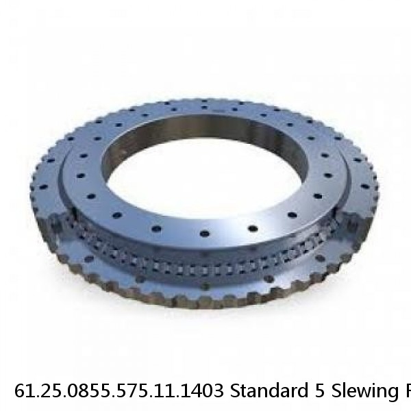 61.25.0855.575.11.1403 Standard 5 Slewing Ring Bearings