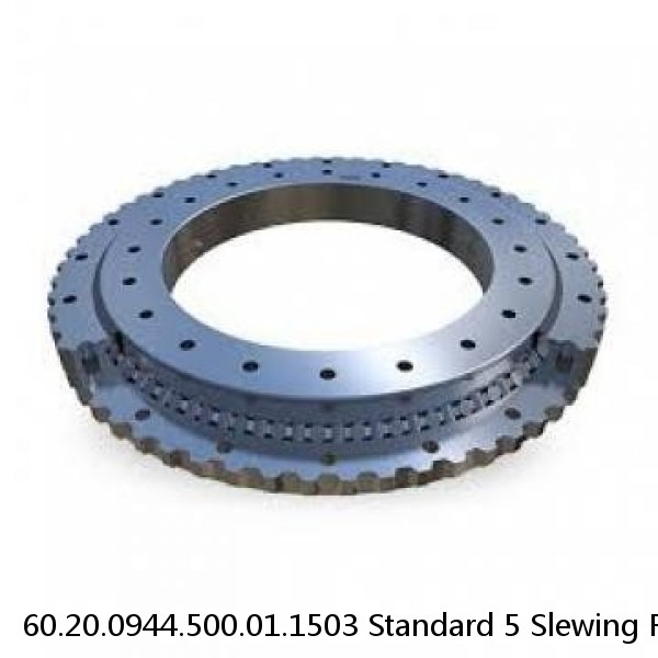 60.20.0944.500.01.1503 Standard 5 Slewing Ring Bearings