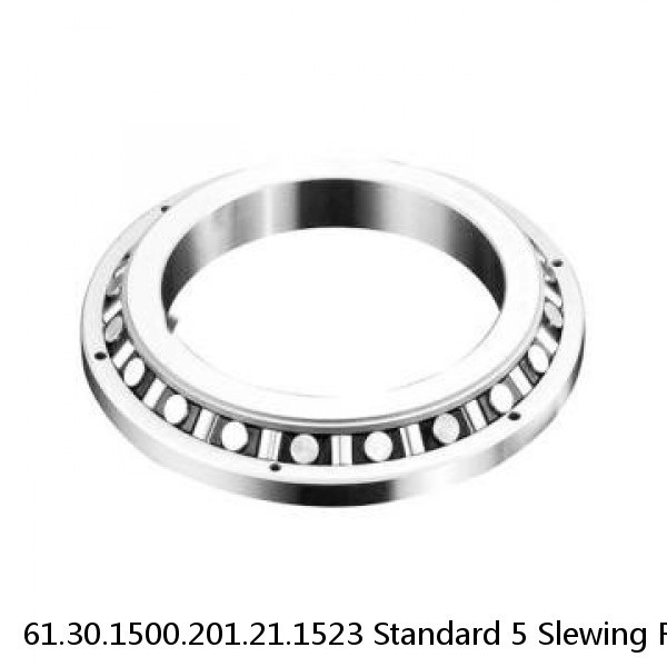 61.30.1500.201.21.1523 Standard 5 Slewing Ring Bearings