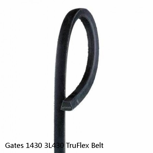 Gates 1430 3L430 TruFlex Belt #1 small image