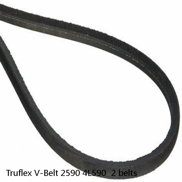  Truflex V-Belt 2590 4L590  2 belts #1 small image
