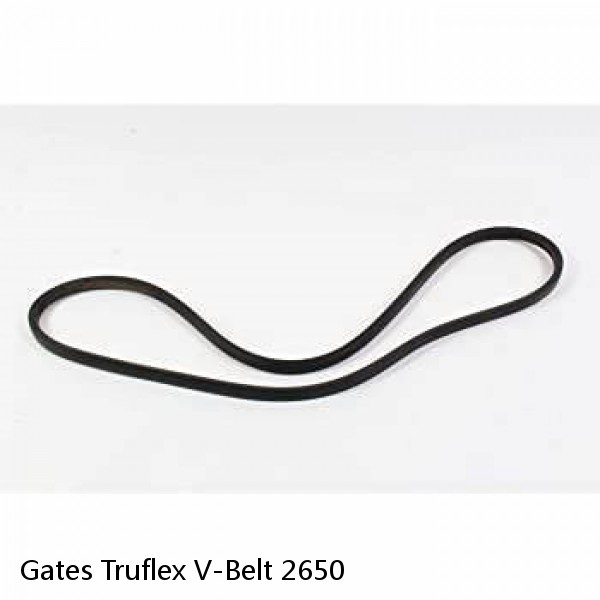 Gates Truflex V-Belt 2650 #1 small image