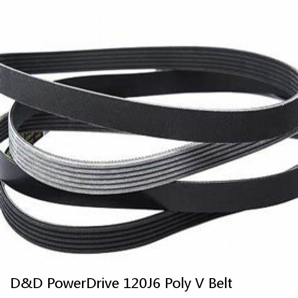 D&D PowerDrive 120J6 Poly V Belt #1 small image