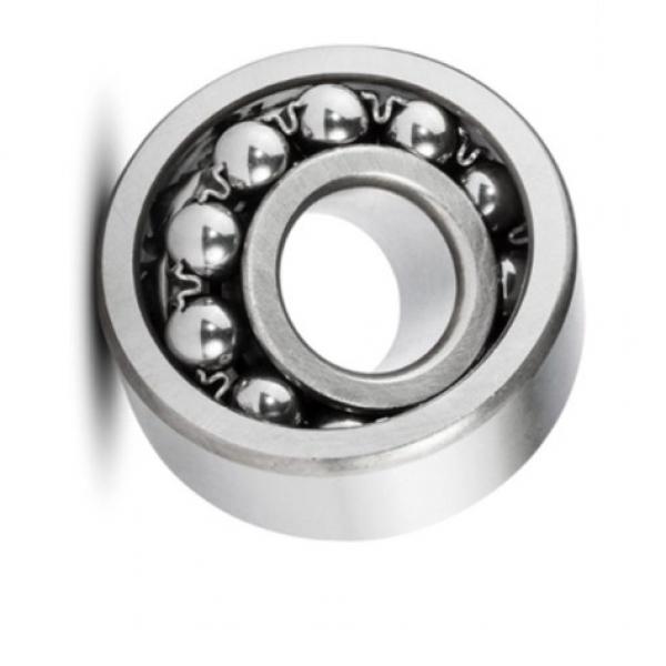 Japan brand NSK 6004du2 6082 6005du2 series deep groove ball bearing #1 image
