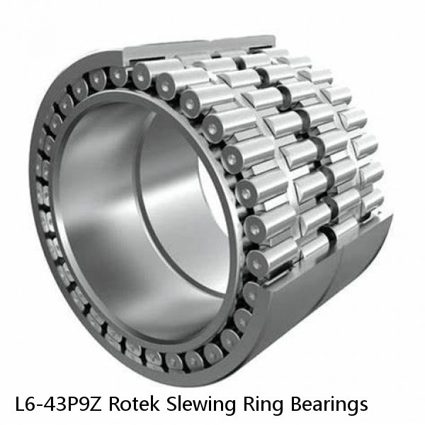 L6-43P9Z Rotek Slewing Ring Bearings #1 image