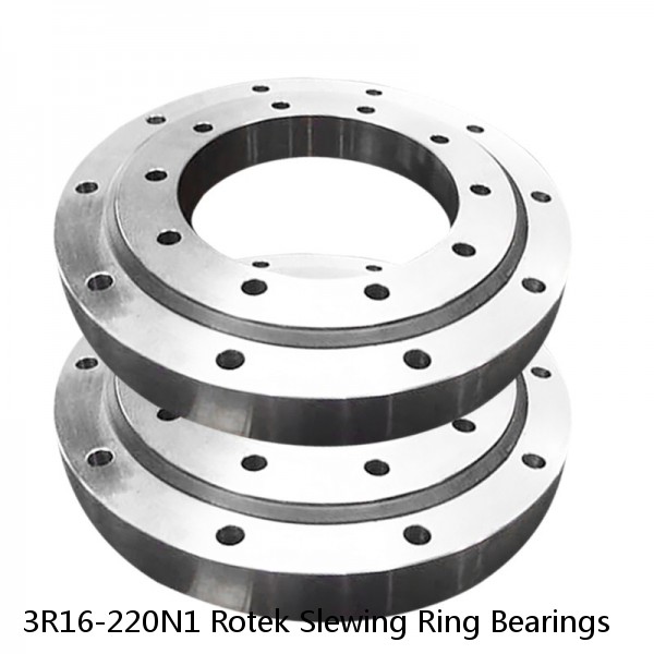 3R16-220N1 Rotek Slewing Ring Bearings #1 image