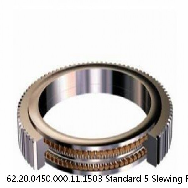 62.20.0450.000.11.1503 Standard 5 Slewing Ring Bearings #1 image