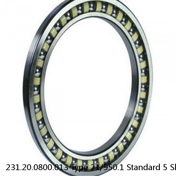 231.20.0800.013 Type 21/950.1 Standard 5 Slewing Ring Bearings #1 image