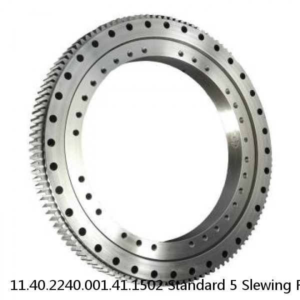 11.40.2240.001.41.1502 Standard 5 Slewing Ring Bearings #1 image