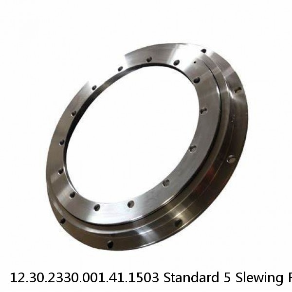 12.30.2330.001.41.1503 Standard 5 Slewing Ring Bearings #1 image