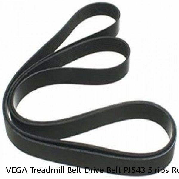 VEGA Treadmill Belt Drive Belt PJ543 5 ribs Rubber Multi Groove Belt Multi Belt #1 image